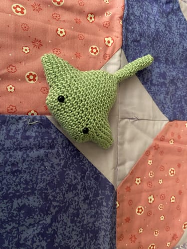 Customer photo review of (Limit 1 Per Customer Please) Rayna The Stingray Crochet Pattern & Matching Greeting Card: Get 1 Free