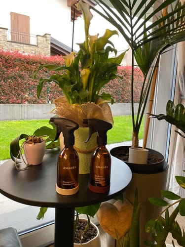 Customer photo review of Starter Kit - Essential