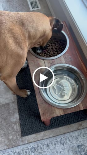 Customer video review of N&D Quinoa Digestion Lamb - Dry Dog Food - Farmina