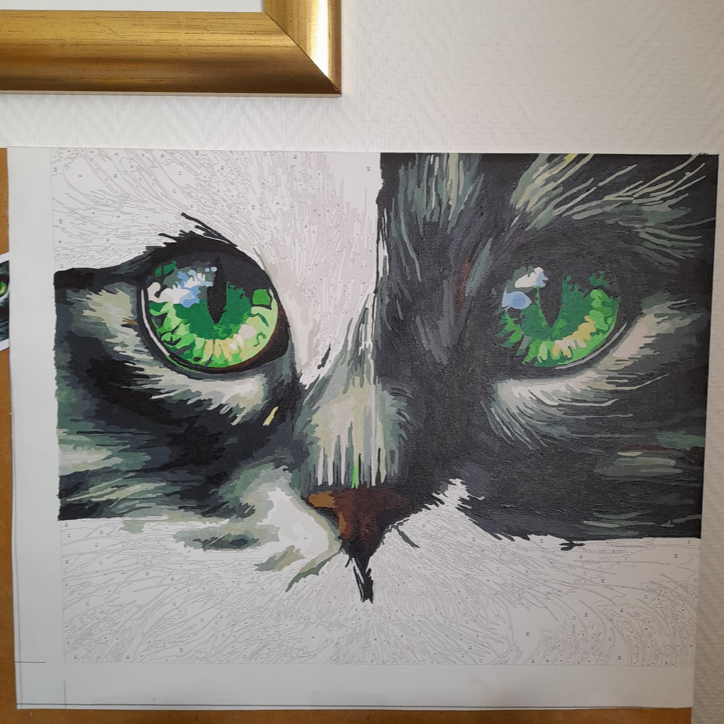 Customer photo review of Malen nach Zahlen - Magischer Katzen Blick