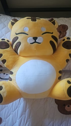 Customer photo review of SEVENTEEN HOSHI Artist-Made Collection (Incense Set + Plush Toy + Keyring)