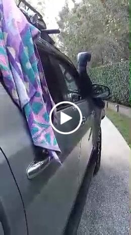 Customer video review of ONTAP - The Original