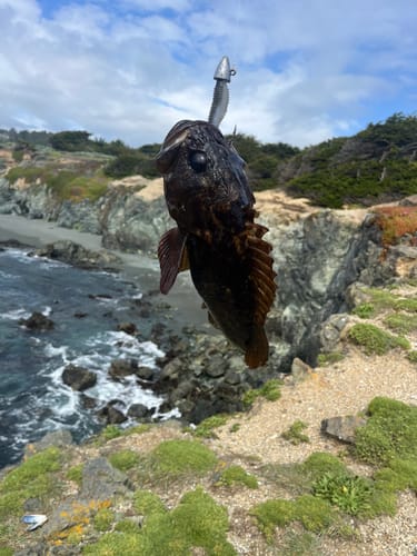 Customer photo review of 8Ft No Excuses Travel Rod with Tube Medium-Heavy Action 1/2oz to 2oz