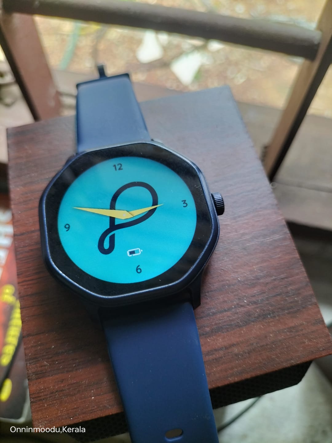 Customer photo review of Pebble Hive
