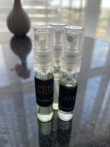 Customer photo review of Alien (Inspired) - Abduction