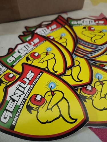 Customer photo review of PROMO - Sticker Vinile Classici