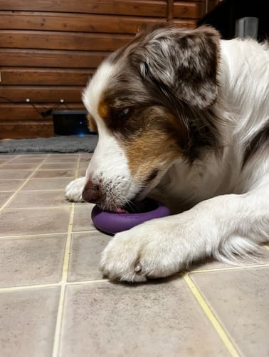 Customer photo review of Freezbox Bundle 90 Grams Fillers