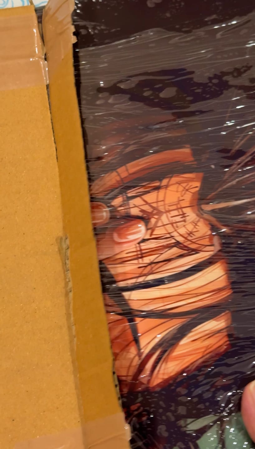 Customer photo review of Spiderman