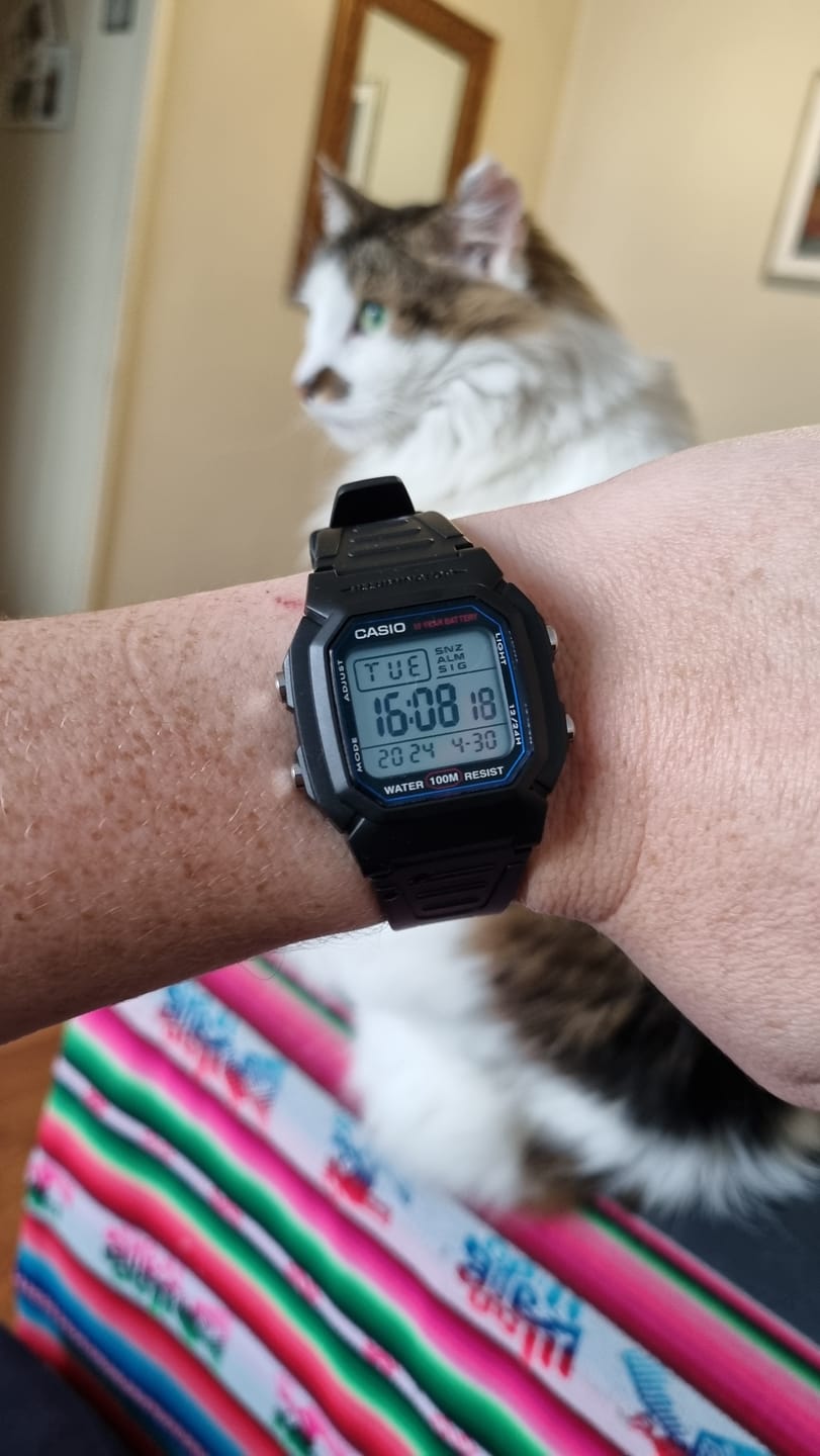 Customer photo review of Reloj Casio Vintage W-800H-1AVDF Líneas Azules