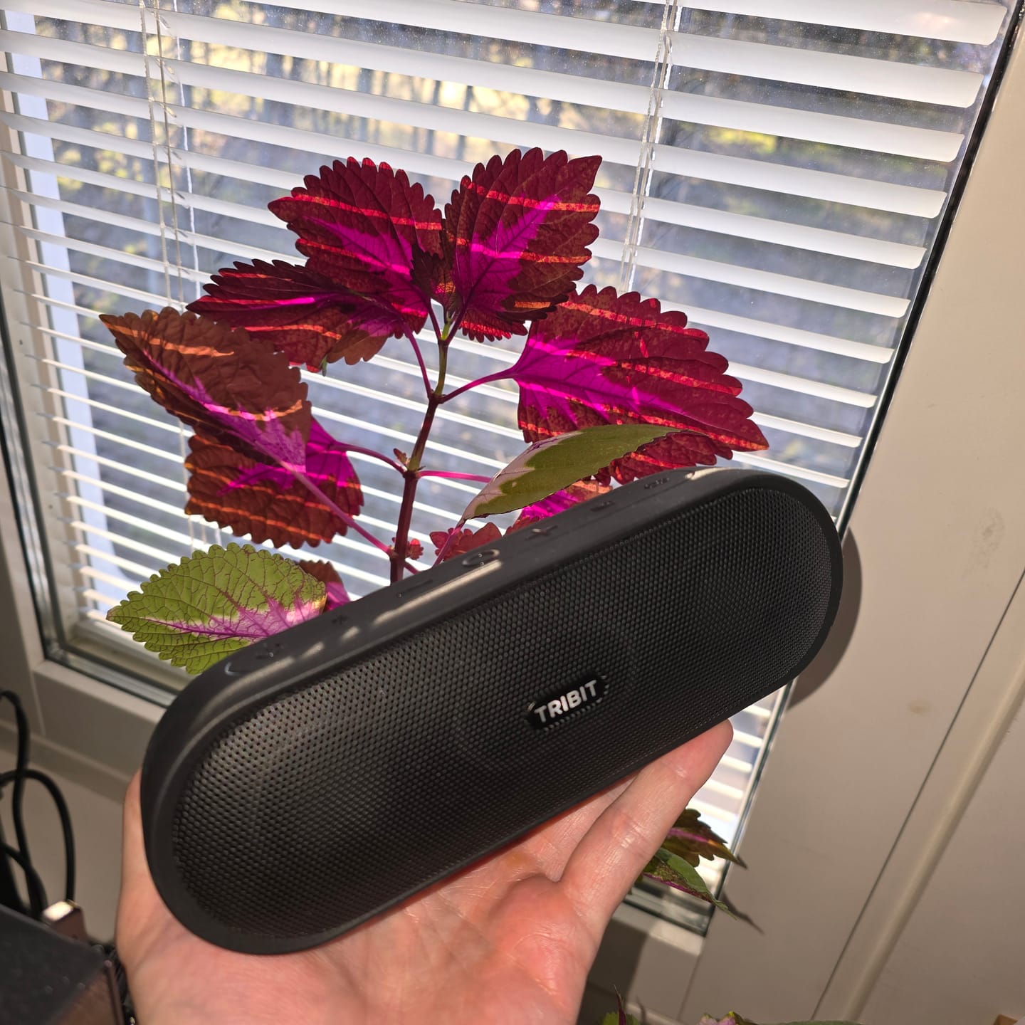 Customer photo review of TRIBIT XSound Plus 2 Portable Bluetooth Speaker