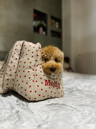 Customer photo review of Trasportino Little Love Heart