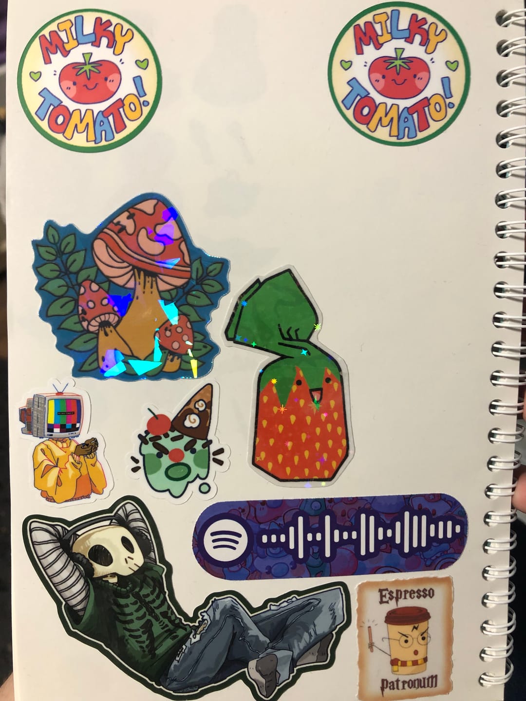 Customer photo review of Aesthetic Skeleton Stickers