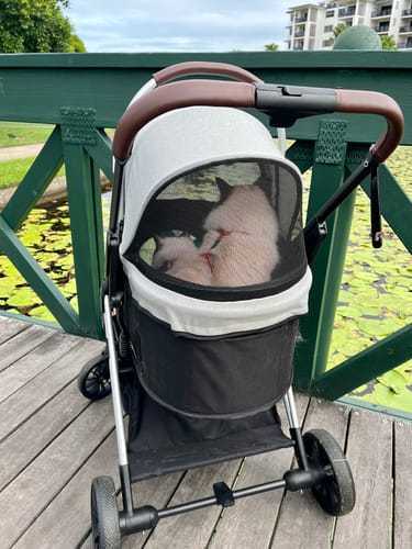 Customer photo review of PaWz 4 Wheels Pet Stroller Deluxe