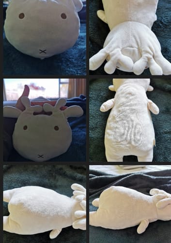 Customer photo review of Turn Drawings into Plushies