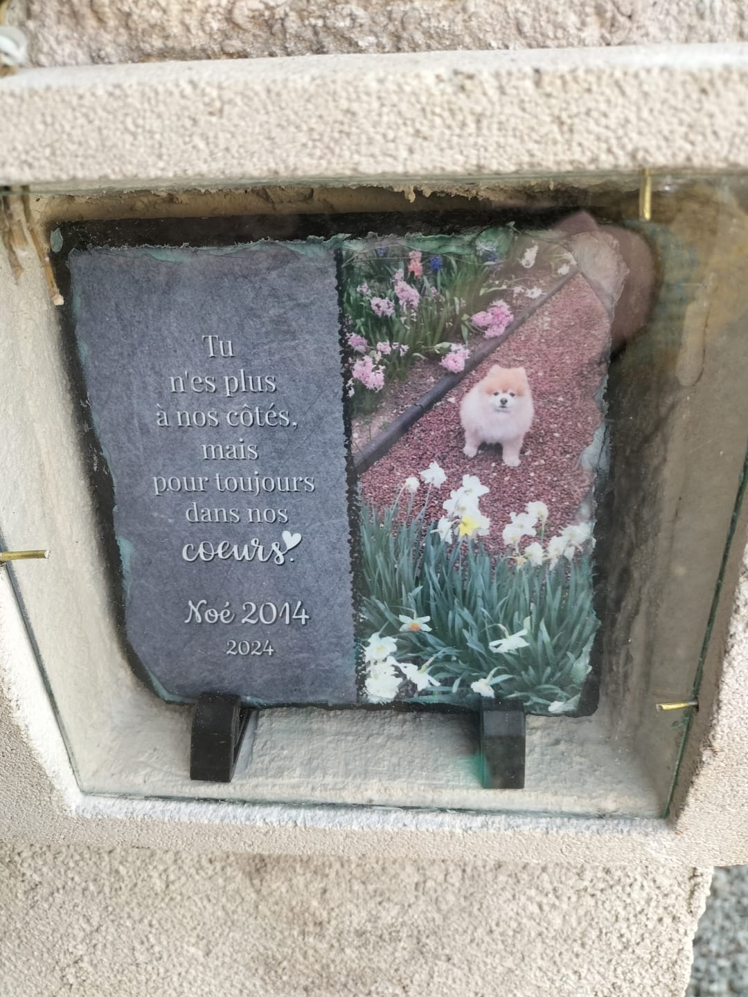 Customer photo review of Toujours dans mon cœur - Plaque d'ardoise personnalisée