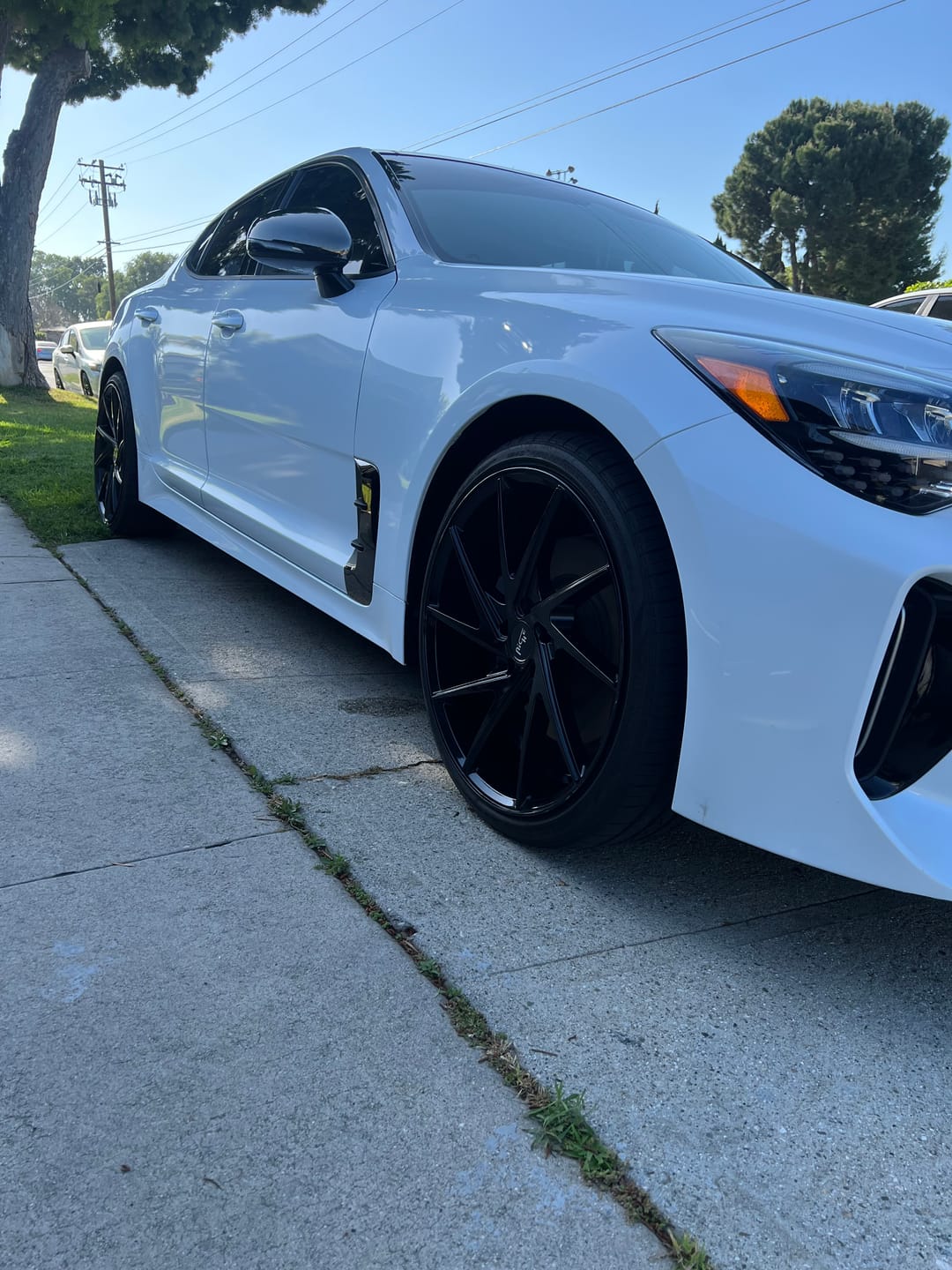 Customer photo review of Valve Stem Caps