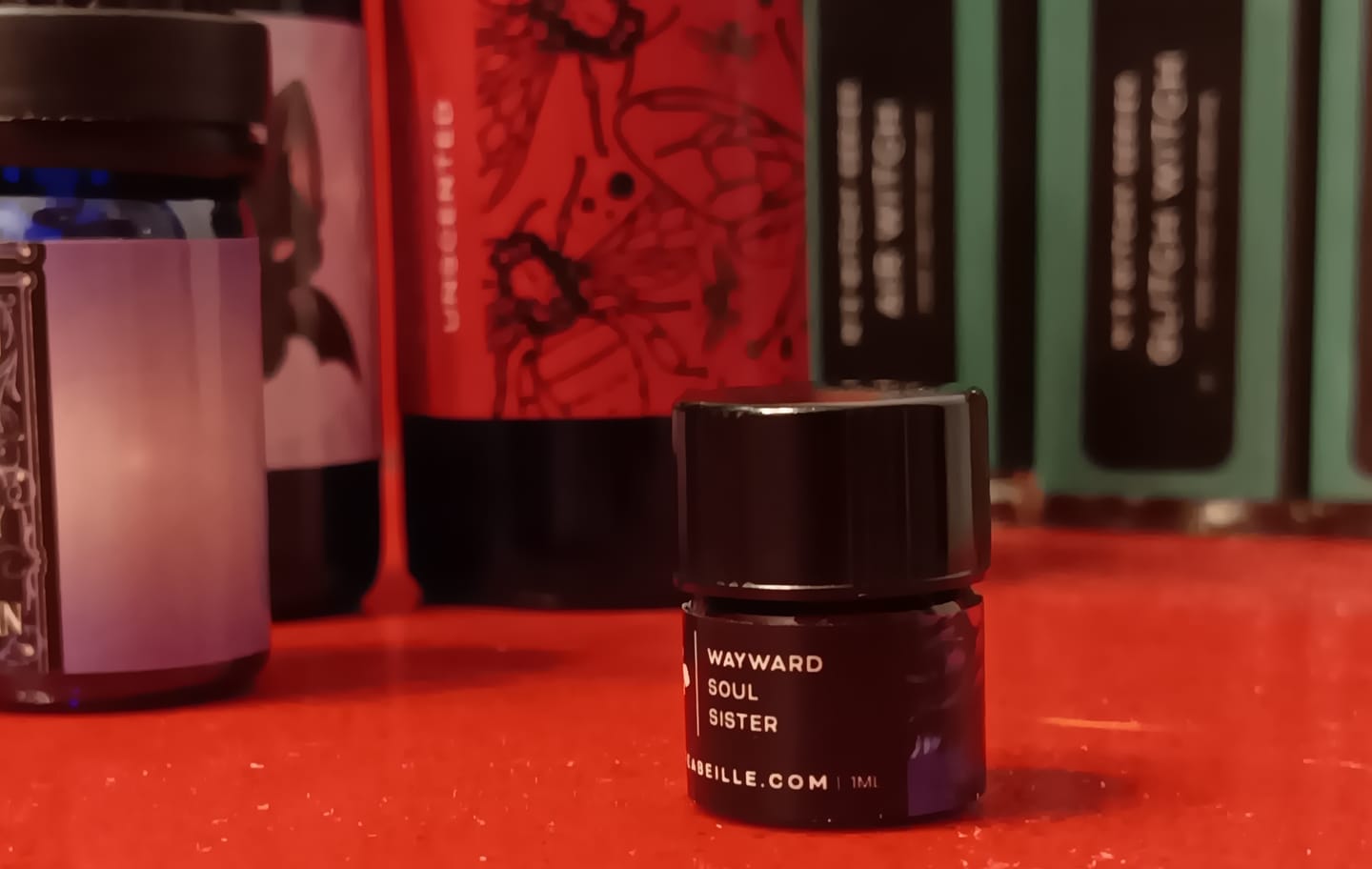 Customer photo review of Wayward Soul Sister