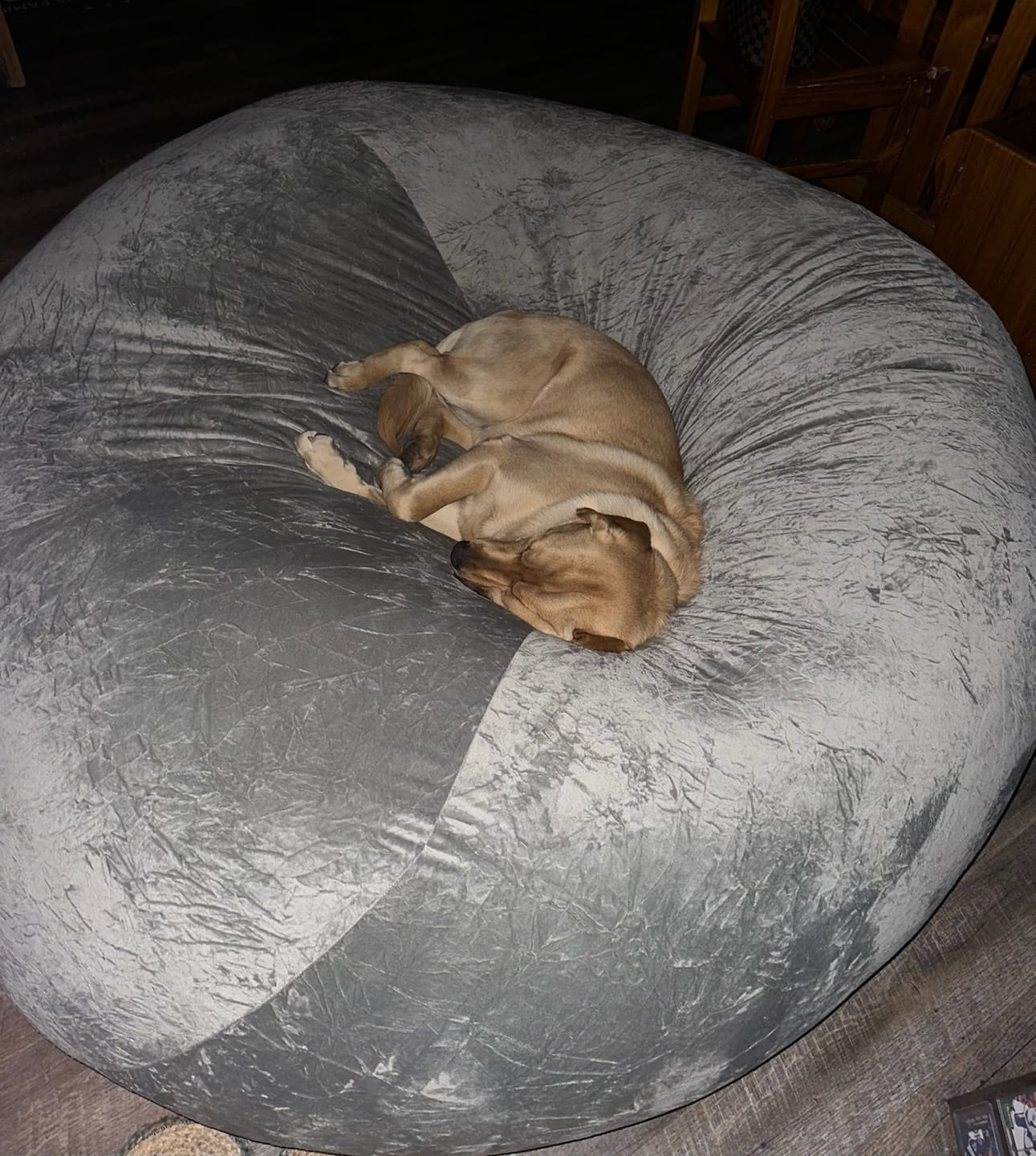 Customer photo review of Giant 7ft Fur Bean Bag ( Beans are included)