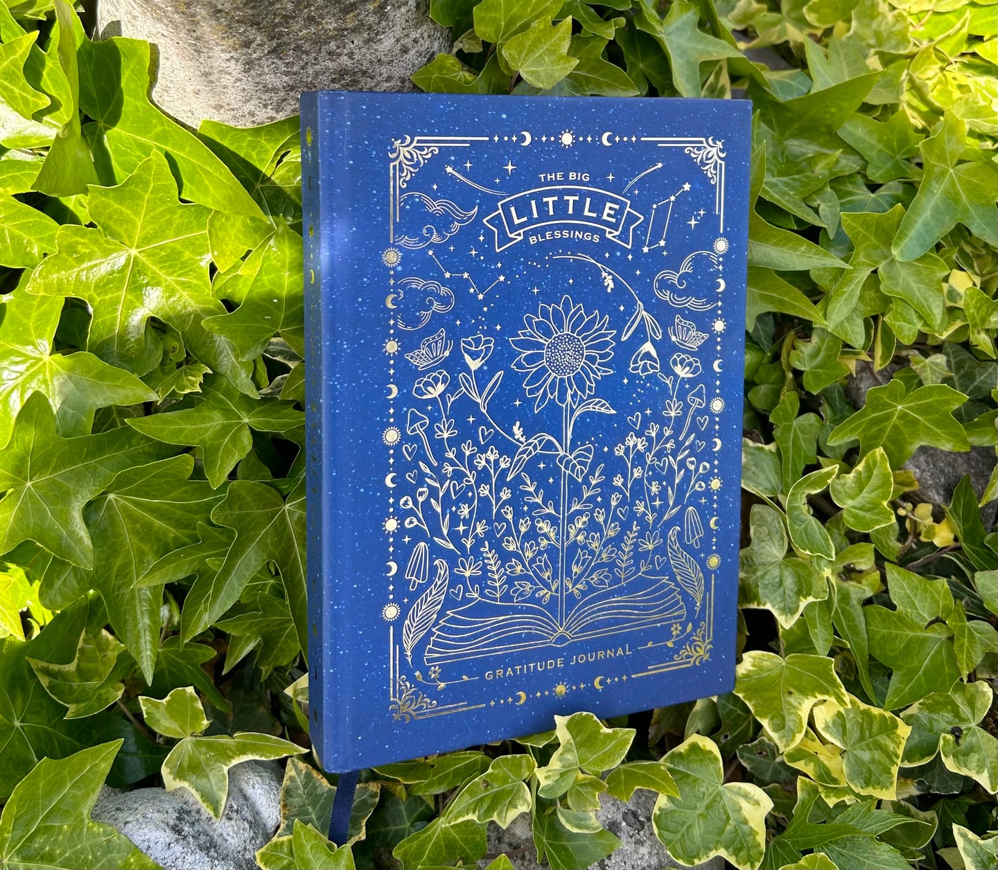 Customer photo review of The Big Little Blessings Gratitude Journal