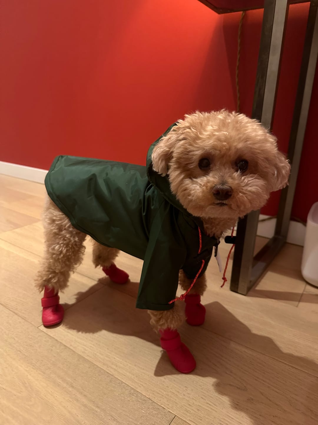 Customer photo review of Nylon Rainbreaker