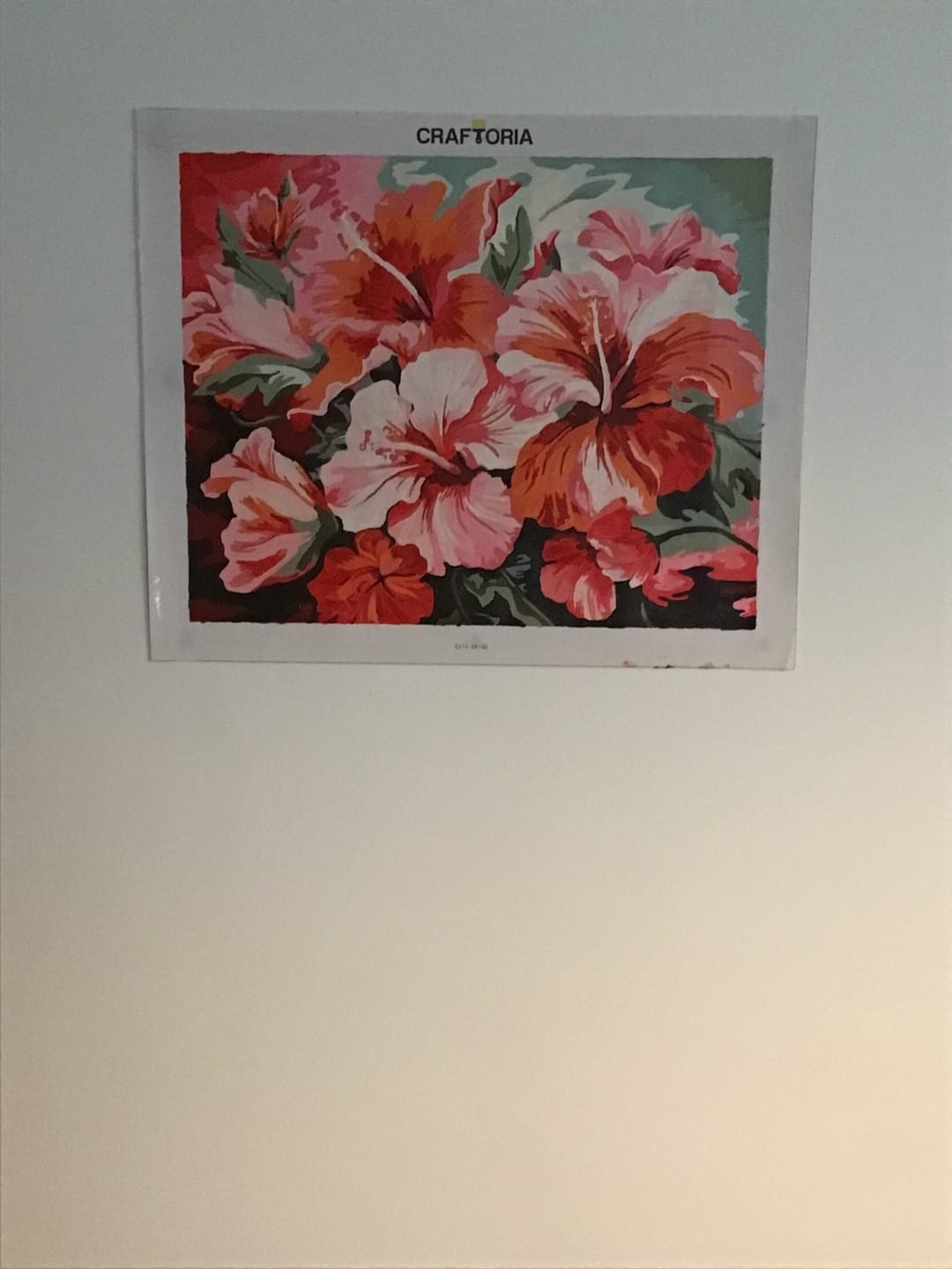 Customer photo review of Hibiscus Harmony
