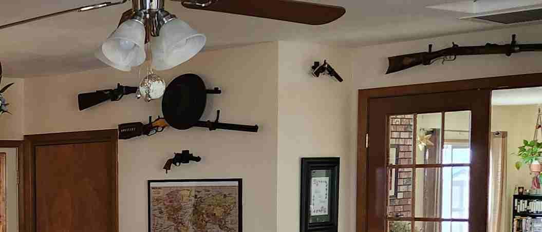 Customer photo review of Gun Hooks