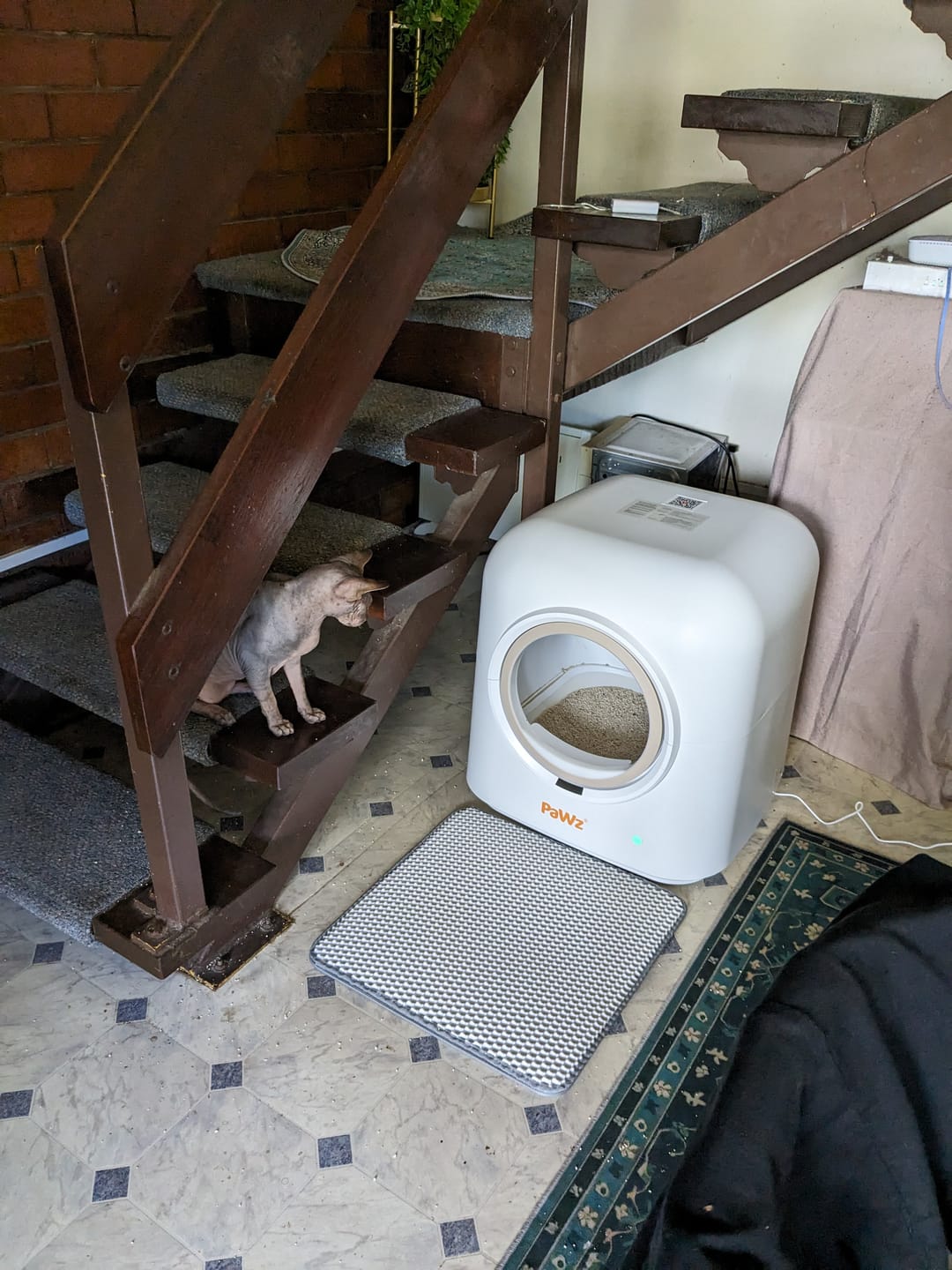 Customer photo review of PaWz Smart Cat Litter Box Automatic Self-Cleaning With App Remote Control