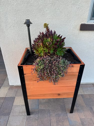 Customer photo review of 18" x 48" Planter Box - 24" Tall
