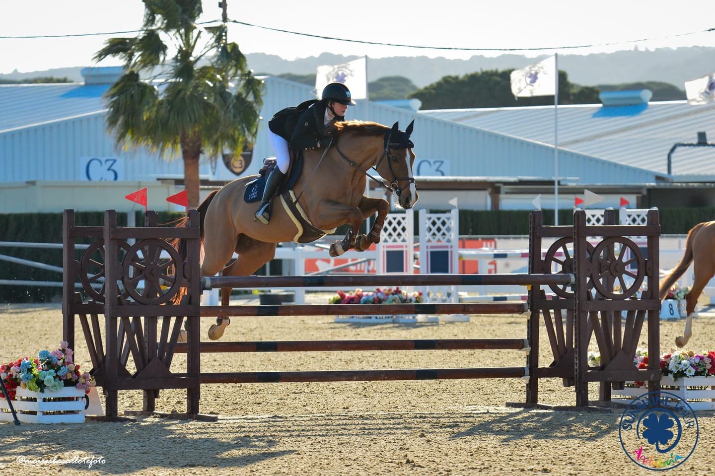 Customer photo review of KYLIE - RIDING LEGGINGS | NAVY ''ROSE GOLD'' FULL SEAT SILICONE