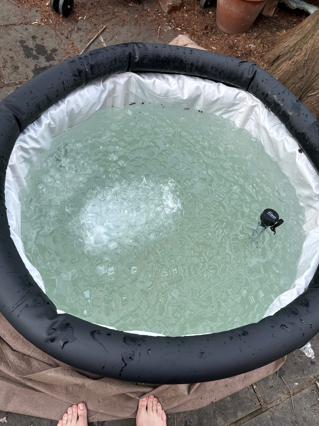 Customer photo review of Insulated Ice Pod Lid