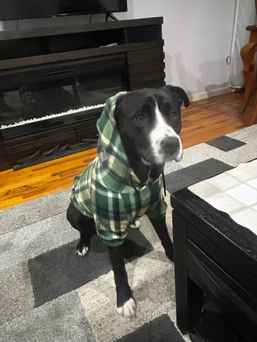 Customer photo review of Green Plaid Human Hoodie