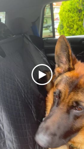 Customer video review of Waterproof Non-Slip Car Seat Hammock Cover With Pockets, Side Flaps, Headrest Straps, Seat-Anchors, & Mesh Window (+FREE SAFETY BELT!)