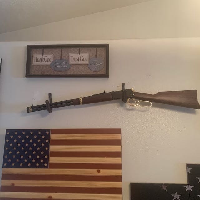Customer photo review of Gun Hooks