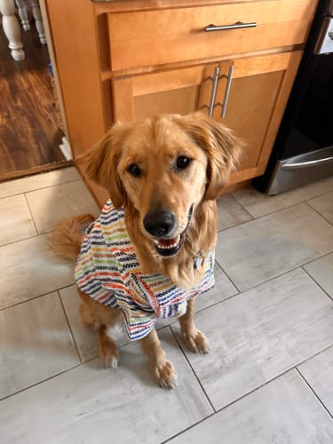 Customer photo review of Playa Poncho - Surprise Color