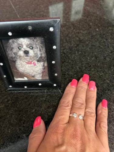 Customer photo review of Paw Hug Ring