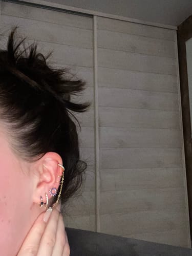 Customer photo review of Faux piercing Cassy - double anneau cartilage