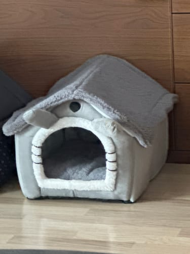 Customer photo review of Katzenhaus