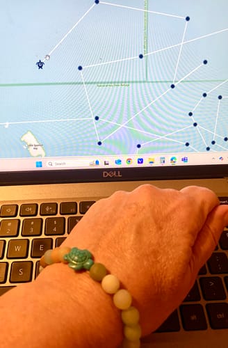 Customer photo review of Turtle Tracking Bracelet