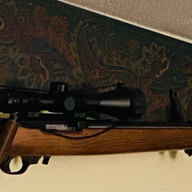 Customer photo review of Gun Hooks