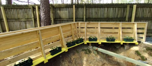 Customer photo review of English Ivy 50 Count Flat