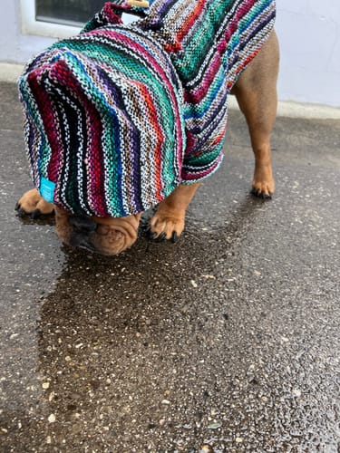 Customer photo review of Playa Poncho - Surprise Color