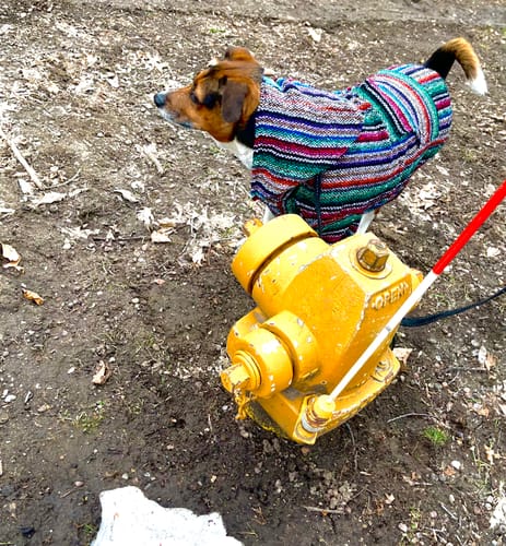 Customer photo review of Free & Easy Return or Exchange Coverage + Package Protection