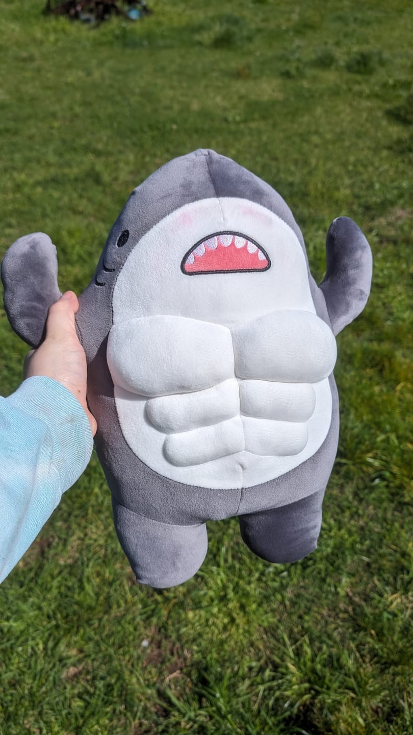 Customer photo review of Buff Shark Plushies