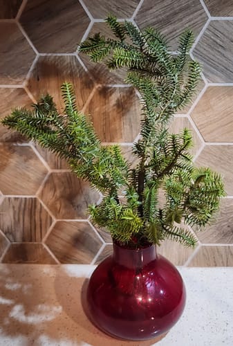 Customer photo review of Bulk 23" Christmas Real Touch Cedar Stem Branches AM Basics Wholesale