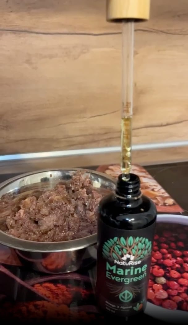 Customer photo review of Omega 3 Algenöl Haustiere