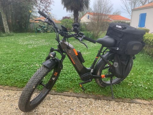 Customer photo review of Lankeleisi MG600 Plus 1000W Bafang Motor 26" Fat Bike All Terrain SUV E-Bike 48V 20Ah Samsung Battery