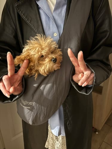 Customer photo review of Sling-bag Pony Kangaroony Graphite