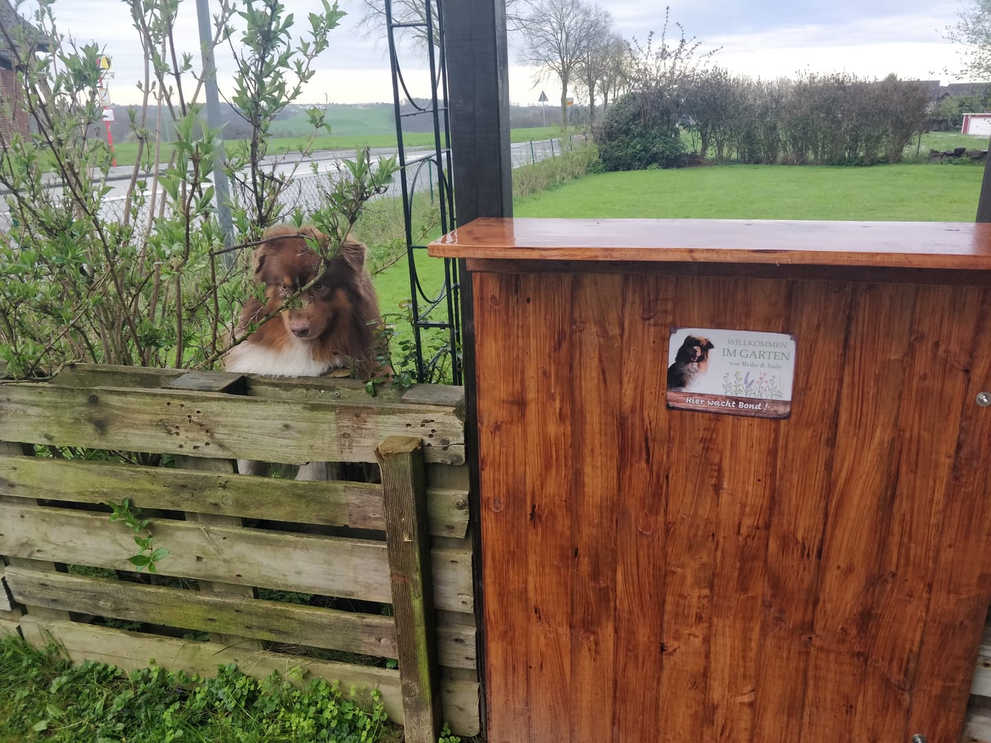 Customer photo review of Hunde Garten-Schild personalisiert mit Foto & Text (UV- und wetterfest)