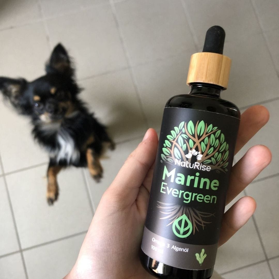 Customer photo review of Omega 3 Algenöl Haustiere