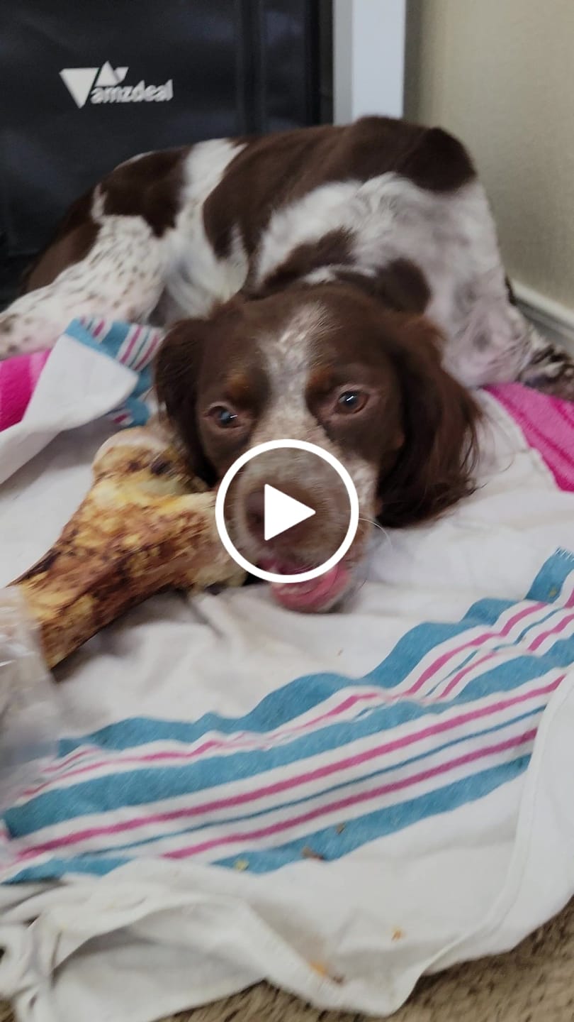Customer video review of Monster Femur Bone